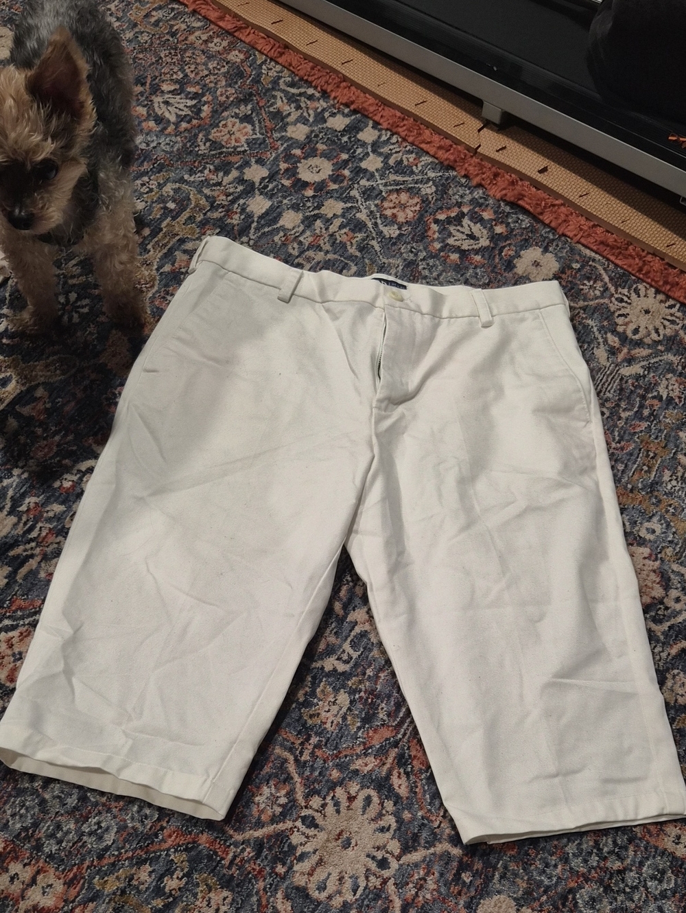 Izod Off-White Cotton Straight-Fit Capris